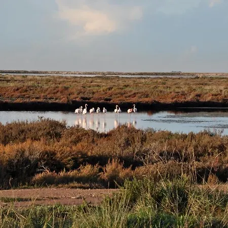 אתר קמפינג Salines