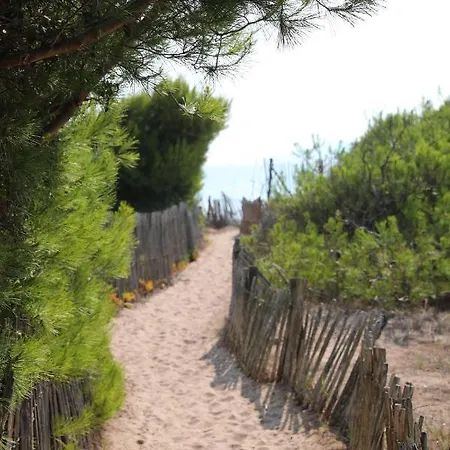 אתר קמפינג Salines