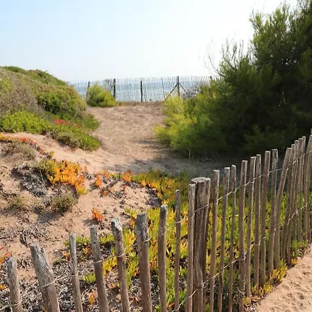 אתר קמפינג Salines