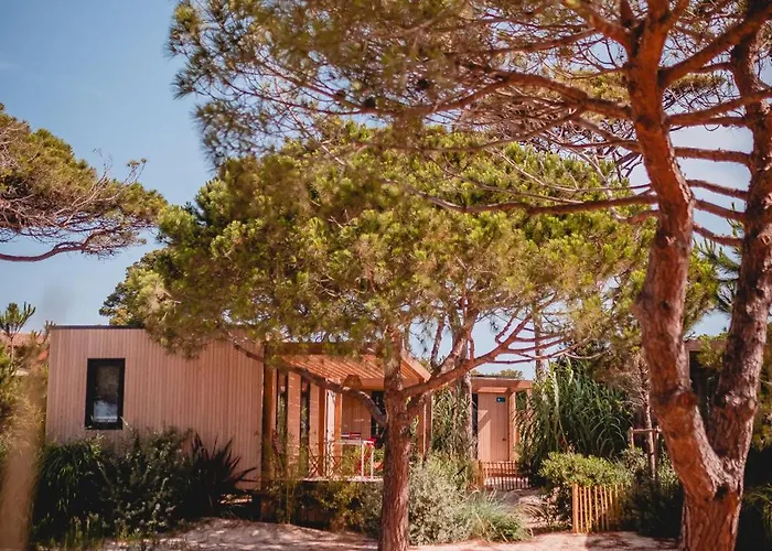 Salines Campsite Hyeres